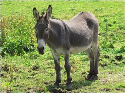 Dans quel film le personnage de Laure Calamy se retrouve-t-elle à faire une longue randonnée ?