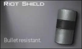 Quelle est cette arme ?