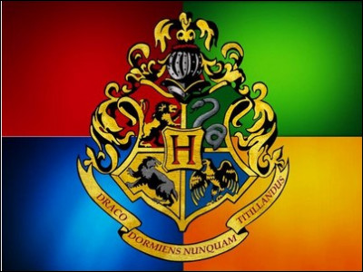 Quelle maison de ''Harry Potter'' te représente le plus ?