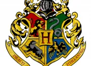 Test Dans quelle maison de Poudlard iras-tu ?