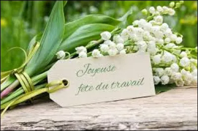 En France, quel jour a lieu ''La fête du Travail'' ?