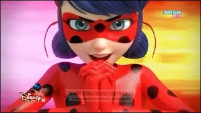 Quels Kwamis ont permis de faire cet amalgame ?