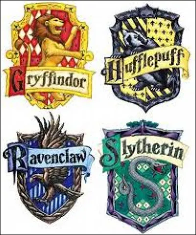 Dans quelle maison aimerais-tu être ?