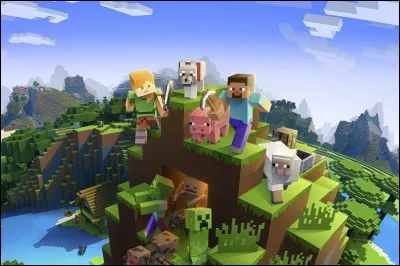 Quel est ce jeu vidéo ?