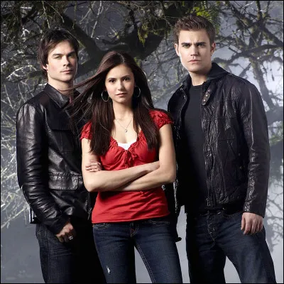 Qui est Enzo pour Damon à l'Augustine ?