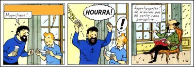 À la lecture de ce télégramme par Tintin, Haddock laisse exploser sa joie : il doit y avoir une bonne raison. Laquelle ?