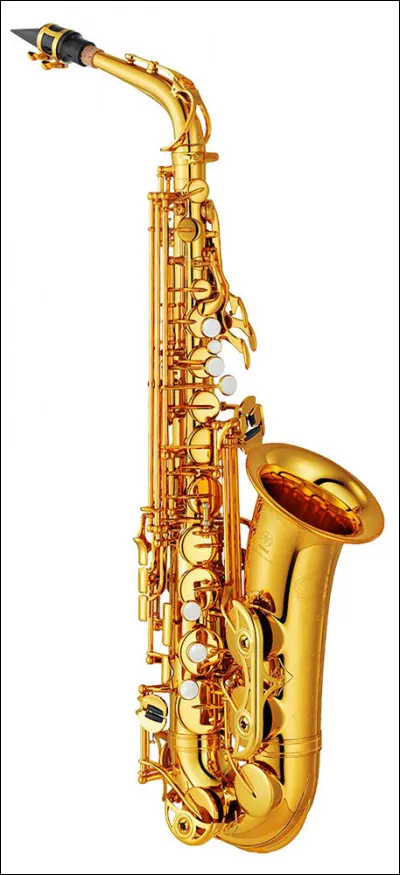 Quel est cet instrument ?