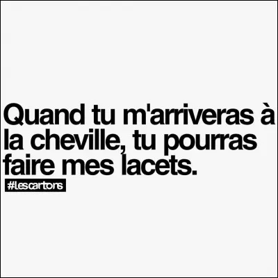 Vous faites une partie de pétanque et vous écrasez vos amis et pour vous vanter vous dites "Vous ne m'arrivez pas à la cheville", qui veut dire :
