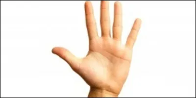 Vous faites des travaux chez vous et votre ami vous dit "Tu veux un coup de main". Que veut-il vous dire ?