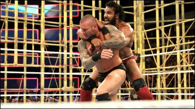 Qui a fait une intervention pendant le Punjabi Prison match qui opposait Jinder Mahal &agrave; Randy Orton ?