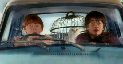 Encore dans le tome 2, lorsque Harry et Ron vont à Poudlard dans la voiture volante, que prennent-ils dans la boîte à gants ?
