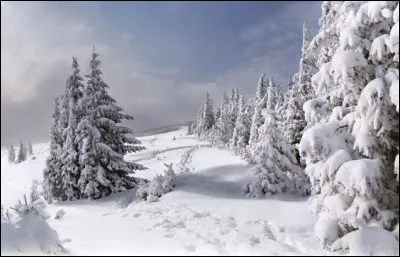 O&ugrave; les Romains r&eacute;coltaient-ils la glace pour proc&eacute;der au stockage de boissons, d'hu&icirc;tres d'Armorique ou de poissons ?