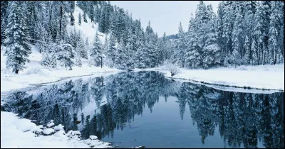 Quel proc&eacute;d&eacute; le m&eacute;decin Ibn Abi Usaybi'a utilisait-il pour diminuer la temp&eacute;rature ?