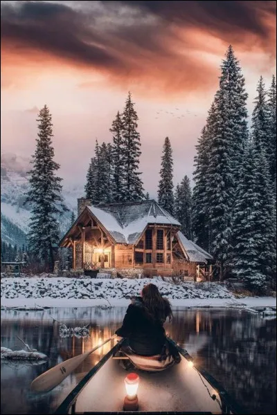 Dans quel pays les r&eacute;frig&eacute;rateurs sont-ils apparus ?