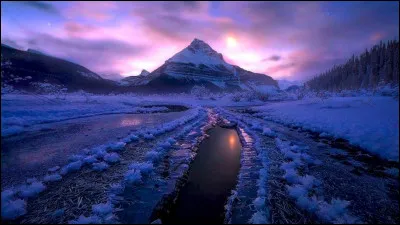 Quelle r&eacute;action le corps humain a-t-il lors d'un contact avec de l'air froid ?