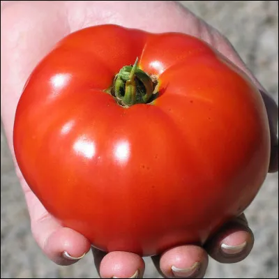 Quel est le nom de ce fruit ?