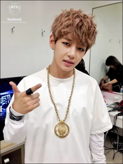 Quel est le ou les surnoms donnés à V ?