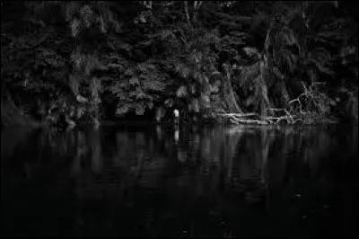 Qui a écrit "Au cœur des ténèbres" ?