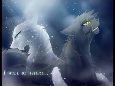 Si tu avais un compagnon, ce serait :