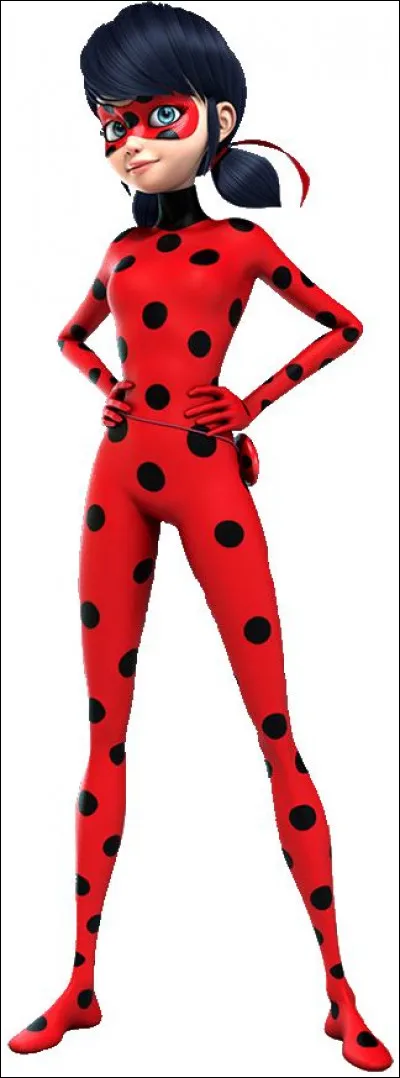 Que dit Ladybug après ces mots : "fonctionnalités du yoyo, capture des akumas, _________ ?