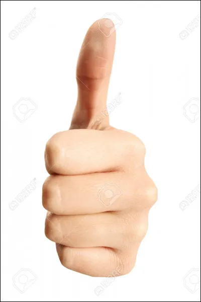 Quelle est ta plus grande qualité ?