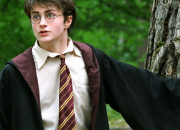 Test Quel personnage masculin de Harry Potter es-tu ?