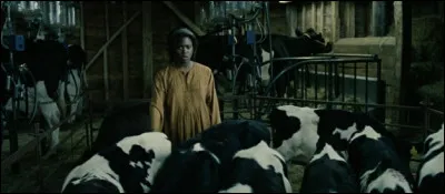 &Agrave; quoi vous fait penser cette sc&egrave;ne ?