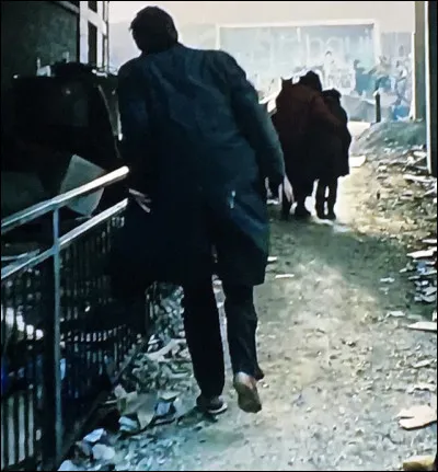 Que perd th&eacute;o lors de sa fuite ?