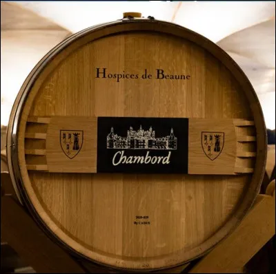 Sensibilisés par l'épidémie du coronavirus qui a marqué cette année peu ordinaire, le domaine des Hospices de Beaune et le château de Chambord se sont réunis pour présenter une pièce exceptionnelle. 
Au profit de quelle cause, ce "Clos de la Roche" grand cru de la côte de Nuit, a été mis en vente ?