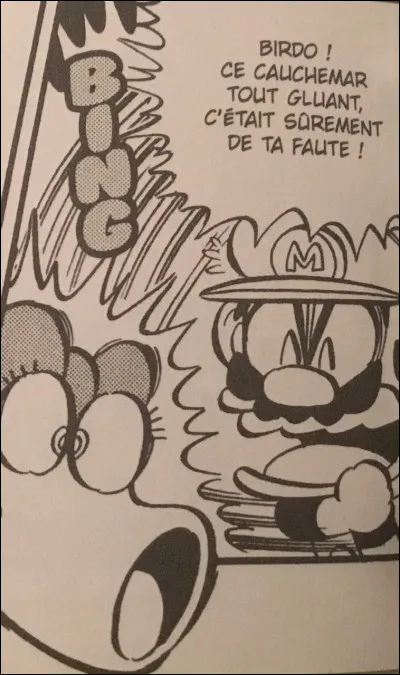 Birdo est toujours du côté de Mario.