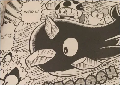 Tiens, mais c'est Toad, le revoilà !
Tous les Toads étaient censés être en vacances, non ?