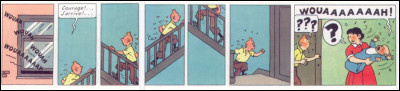 Sur ce coup-là, on ne peut pas dire que Tintin eut l'oreille très affinée... De qui a-t-il cru reconnaître la "voix" ?
