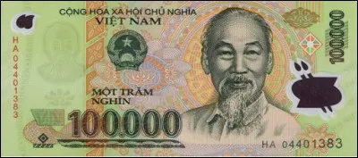Quelle est la monnaie officielle du Vietnam ?