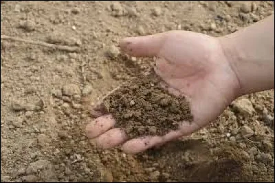 Un sol neutre est-il une chance ?