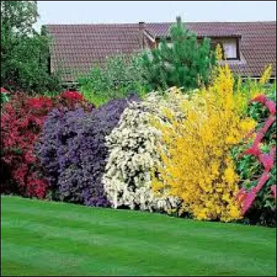 Une haie est-elle un excellent coupe-vent ?