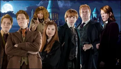 Où vivent les Weasley ?