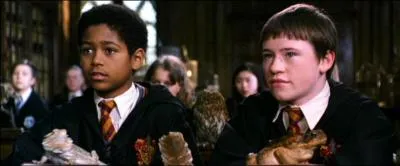 De Dean Thomas ou Seamus Finnigan, lequel est un enfant n-moldu ?
