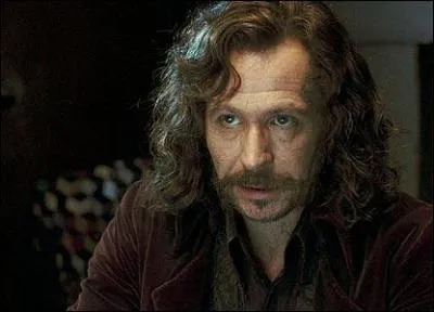 En quoi pouvait se transformer Sirius Black ?