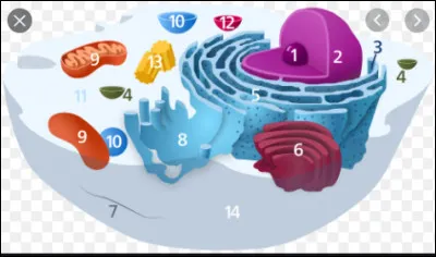 À quoi correspond le numéro 5 ?