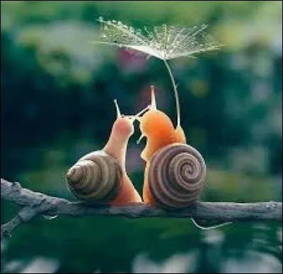 De quoi a peur l'ablutophobe ?