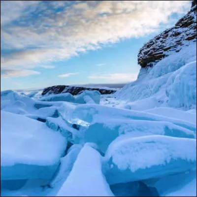 Quel animal préhistorique aujourd'hui disparu a été découvert pour la première fois congelé en Sibérie en 1799 ?