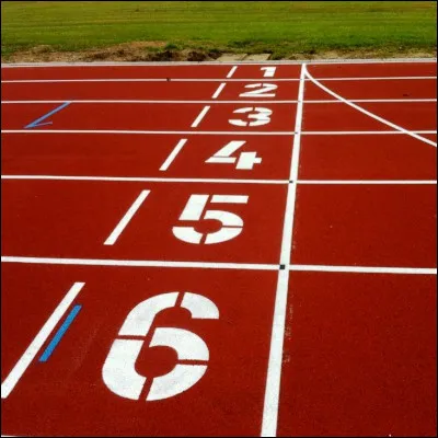 Dans quelle discipline d'athl&eacute;tisme le record du monde masculin, &eacute;tabli en 1993, est-il de 2 minutes 54 secondes et 29 centi&egrave;mes ?