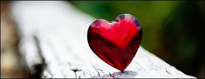 Quel &eacute;crivain fran&ccedil;ais du XIXe est l'auteur du roman "Notre coeur" ?