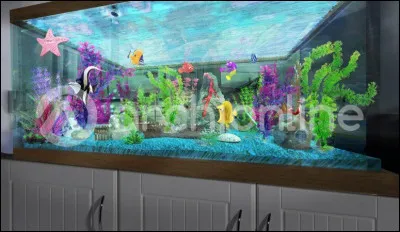 Qui dit "Laisse-moi souffler, tu vas trop vite, j'm'emmèle les nageoires !"