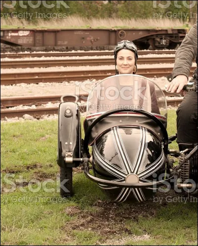 En 1995, Terry Gilliam réalise l'Armée des douze...