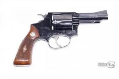 Quel homme s'est suicidé avec un revolver Smith & Wesson de calibre 38 ?
