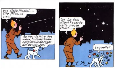 Milou est assez doué pour donner des conseils... qu'il ne s'applique pas à lui-même ! On dirait qu'il (lui) manque une case : que lui est-il advenu entre ces deux-là ?
