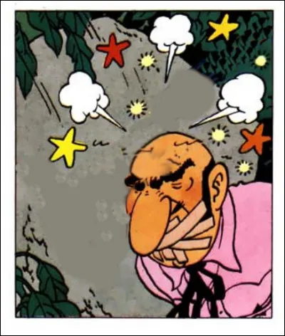 Le "pauvre" Rastapopoulos en prend plein la figure, dans cet album... Que vient-il de recevoir sur la tête ?