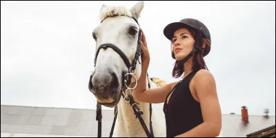 Tu te définis comme un cavalier ou une cavalière...