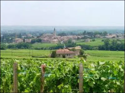 Commune viticole de Bourgogne-Franche-Comté, Romanèche-Thorins se situe dans le département ...